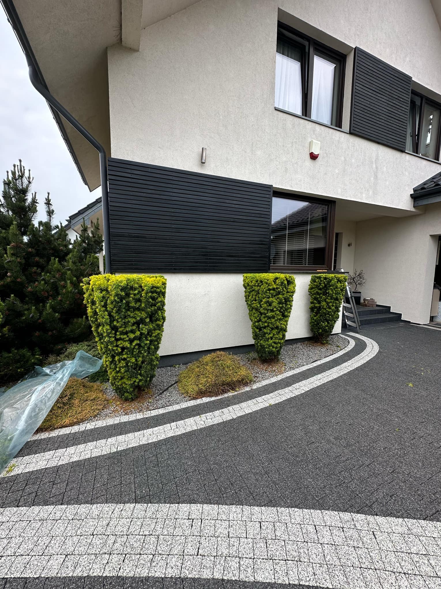 Formowane krzewy iglaste w kształcie kolumn przed nowoczesnym domem z szarą kostką brukową i elementami drewnianymi, po prawej stronie drabina oparta o ścianę.