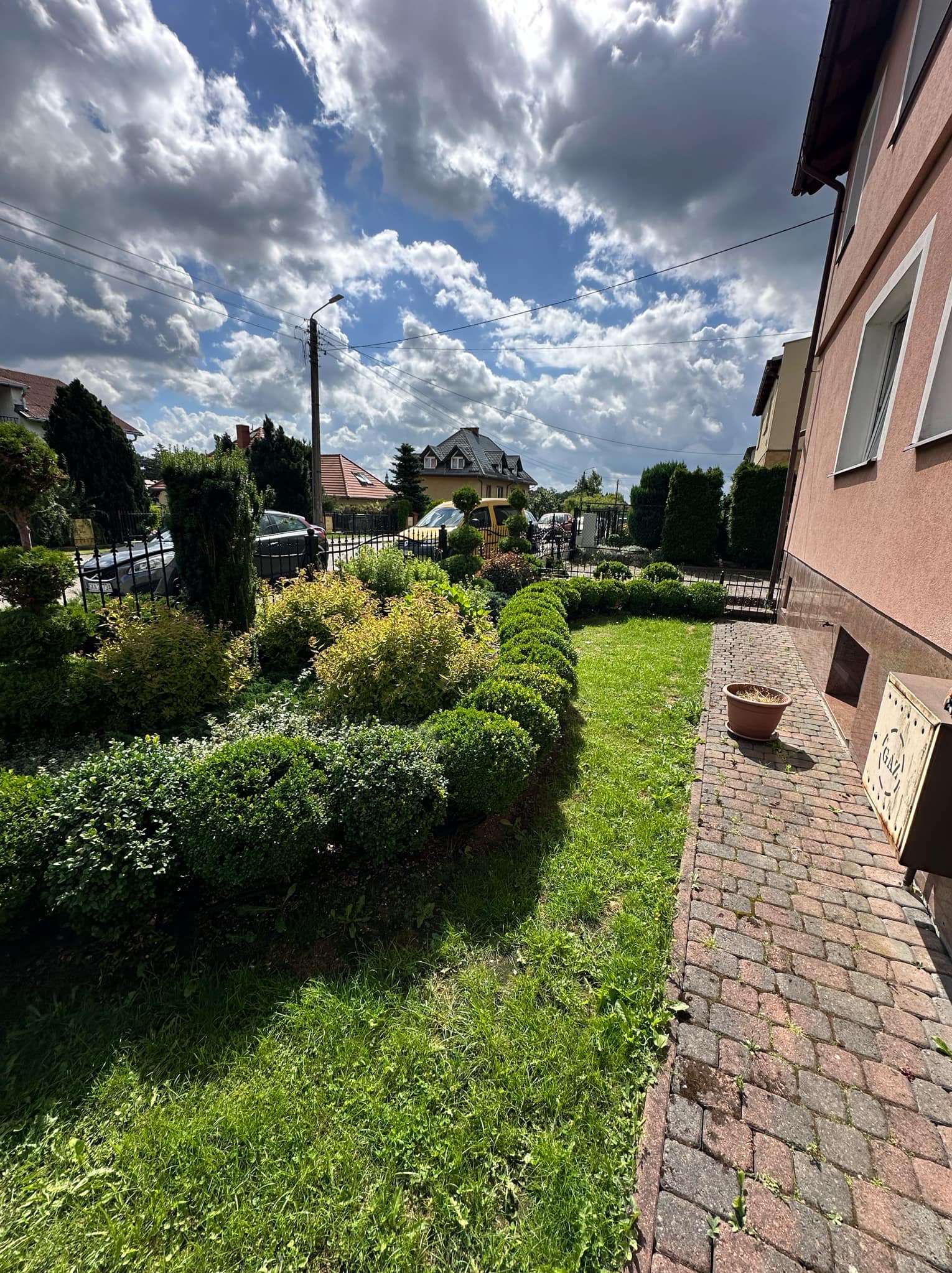 Zadbany trawnik przed domem z równo przyciętymi krzewami bukszpanu w formie kul, widok na budynek z cegły i pochmurne niebo