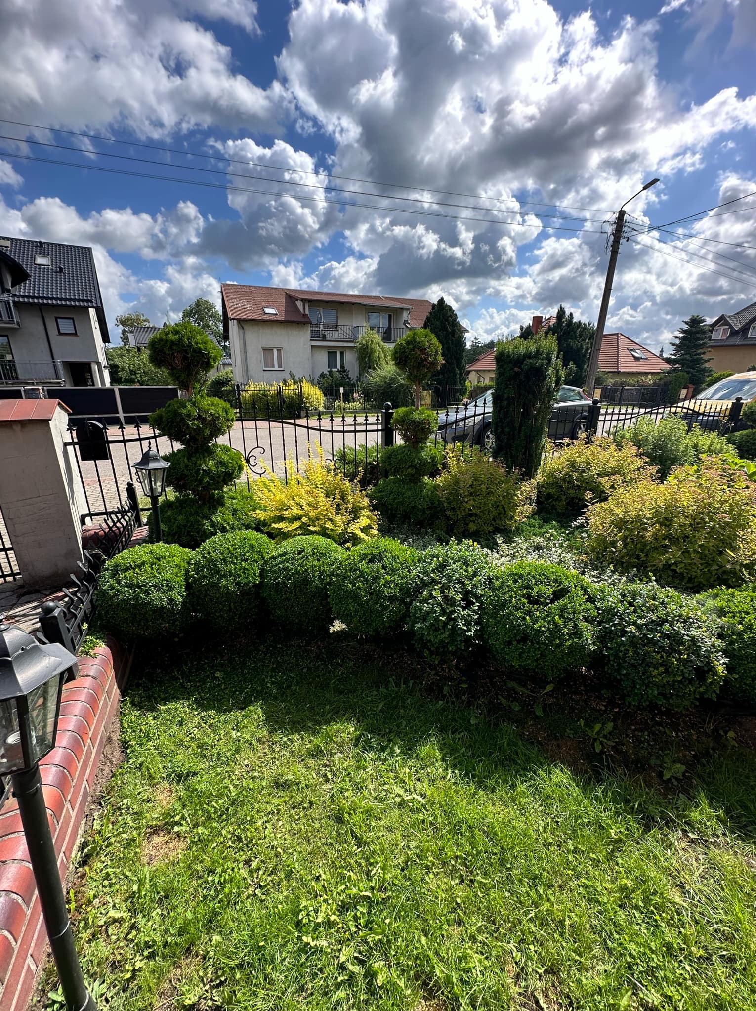 Ogród przed domem z równo przyciętymi krzewami, drzewkami formowanymi w spirale, żółtymi krzewami i czarnym metalowym ogrodzeniem na tle zabudowań i błękitnego nieba z chmurami.