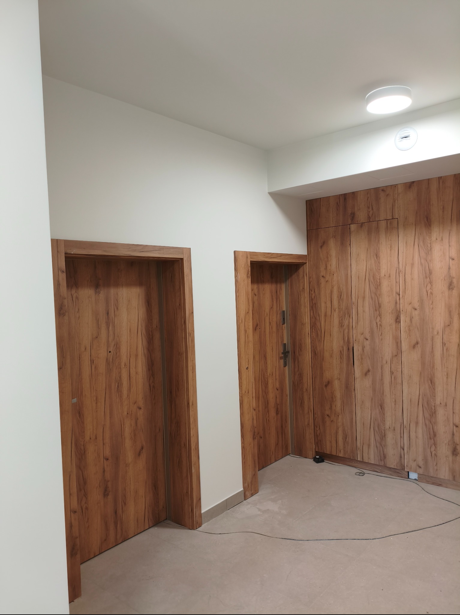Dwa drewniane, fornirowane drzwi w jasnym wnętrzu, obok zabudowa meblowa z forniru w tym samym odcieniu. Minimalistyczne oświetlenie sufitowe.