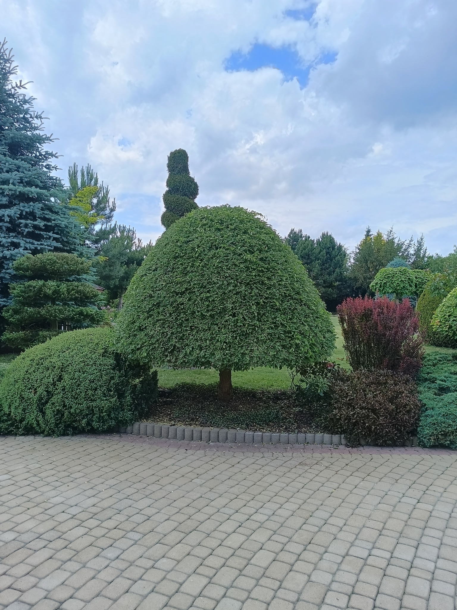 Ogród z równo przystrzyżonymi krzewami i drzewami, kostka brukowa na pierwszym planie, w tle różnorodna roślinność i pochmurne niebo.