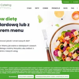 Strona internetowa firmy cateringowej Light Catering z ofertą diet standardowych i z wyborem menu, prezentująca miskę sałatki z burakami, serem i sosem, z widelcem obok.