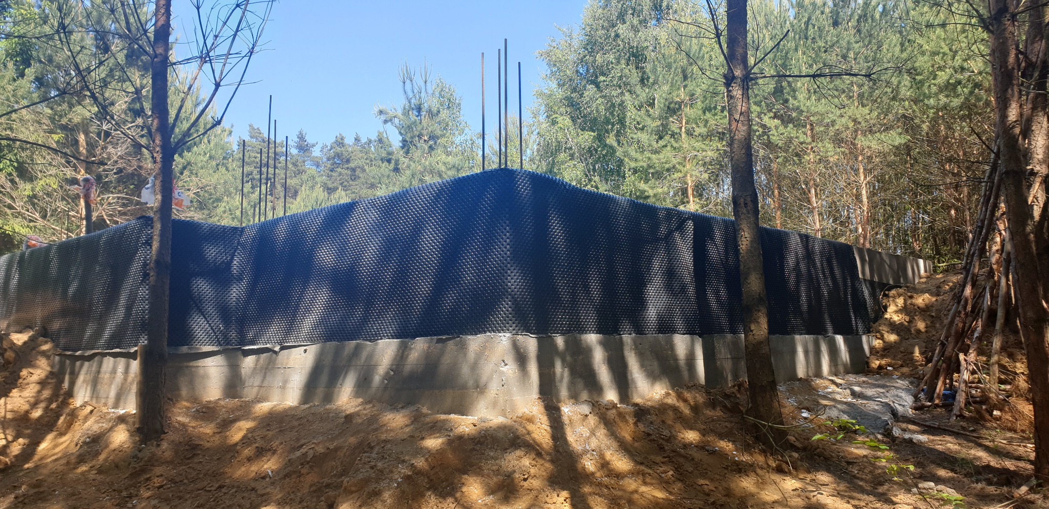 Betonowy fundament domu w lesie, zabezpieczony czarną folią kubełkową, z wystającymi prętami zbrojeniowymi.