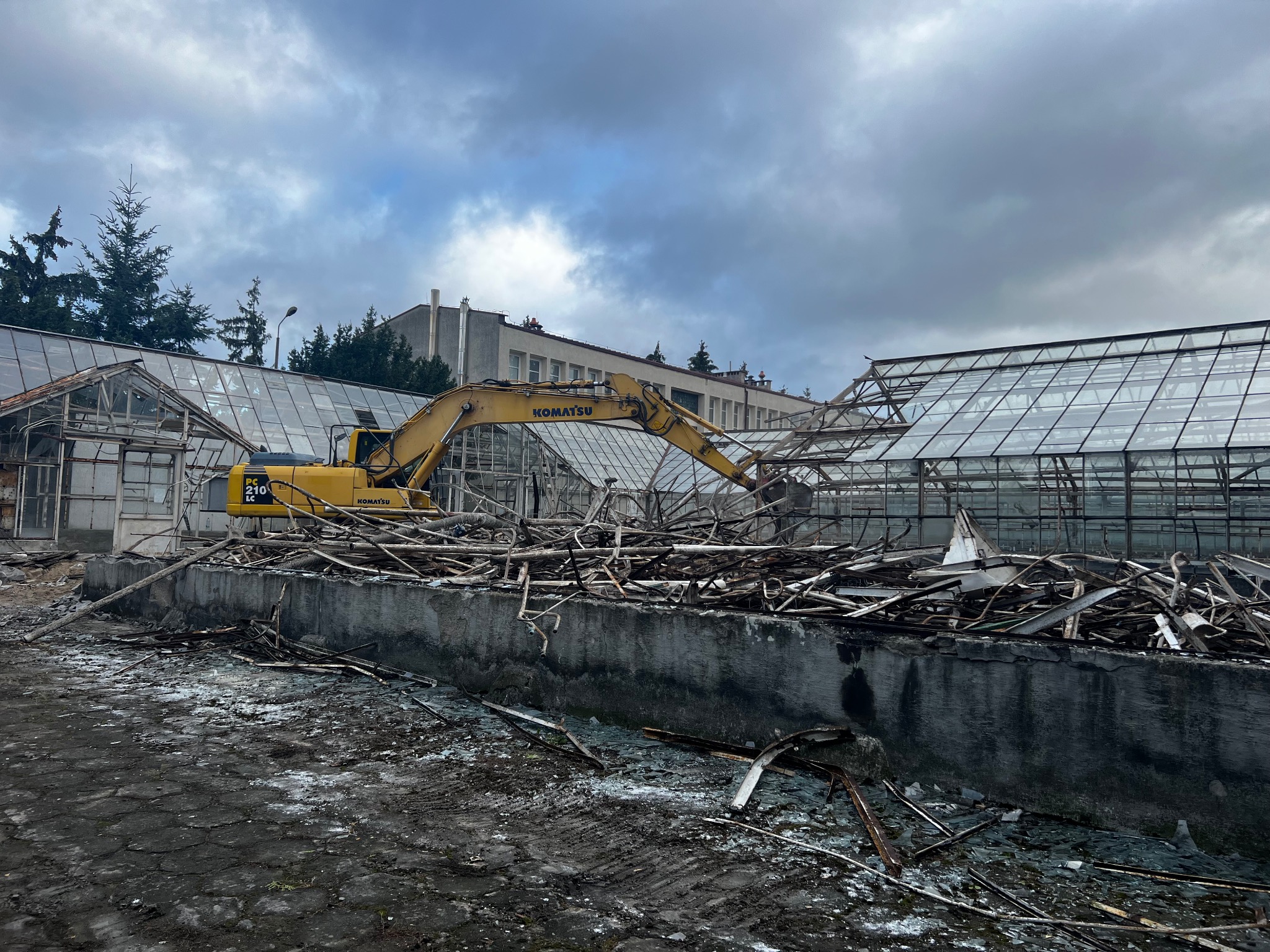 Żółta koparka Komatsu 210 LC demontuje szklarnię; widoczne połamane szklane panele i elementy konstrukcyjne, pochmurne niebo w tle.