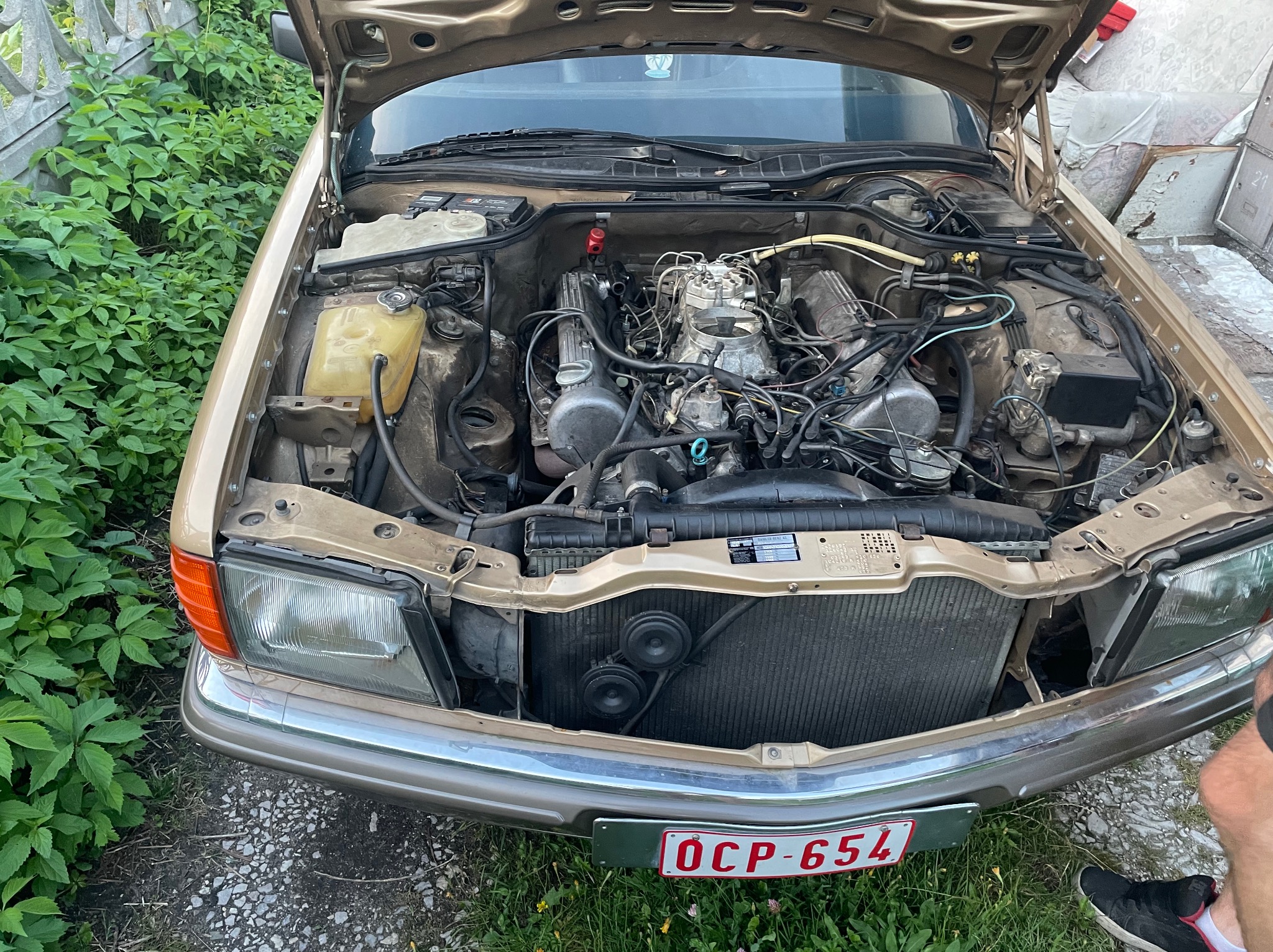 Otwarta maska samochodu w kolorze złotym, ukazująca skomplikowany silnik. Widoczne zielone rośliny po lewej stronie i tablica rejestracyjna OCP-654 na przednim zderzaku.