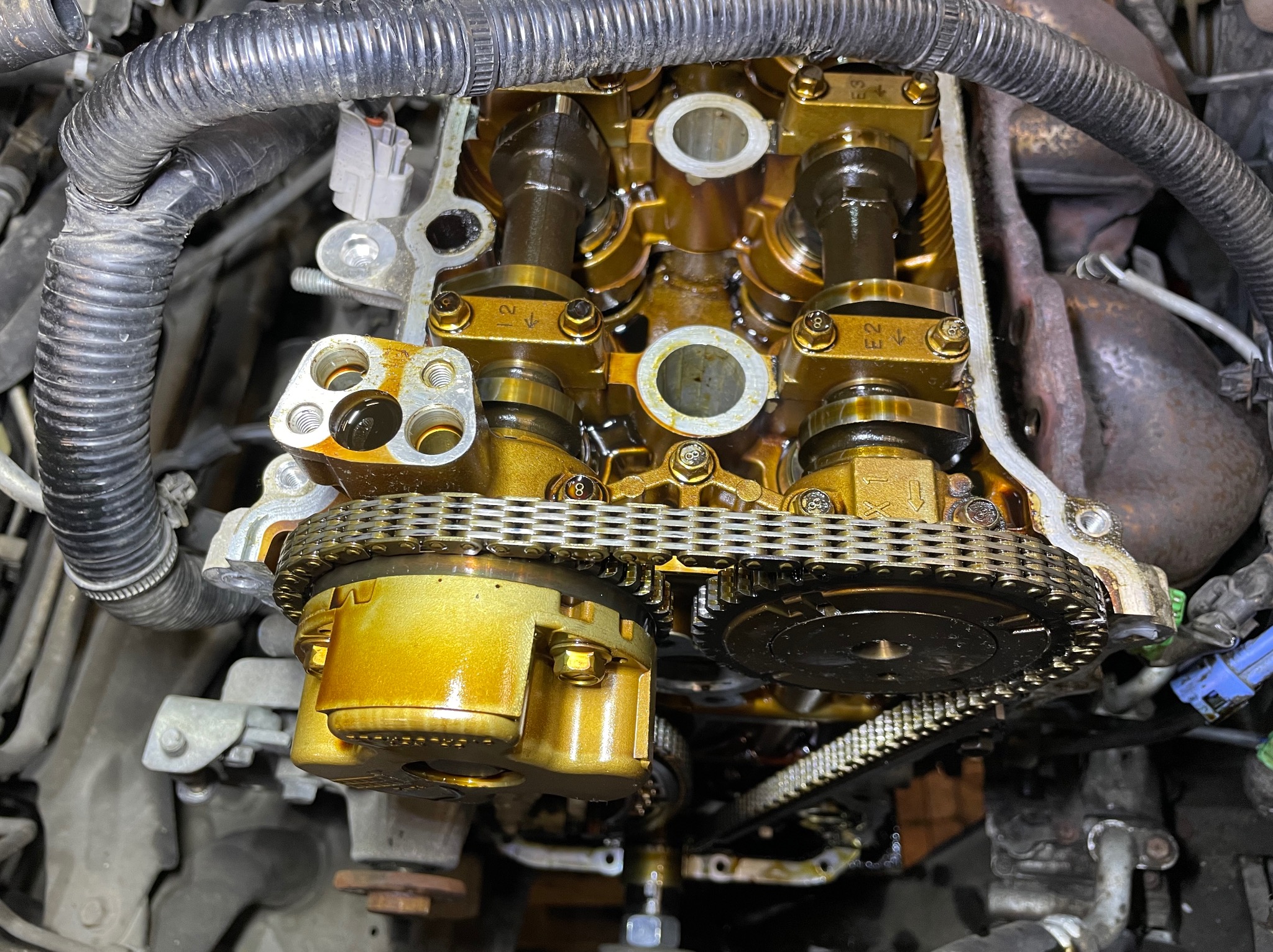 Otwarty silnik samochodowy z widocznym łańcuchem rozrządu i wałkami rozrządu, pokryty świeżym olejem, sugerujący prace naprawcze lub konserwacyjne.