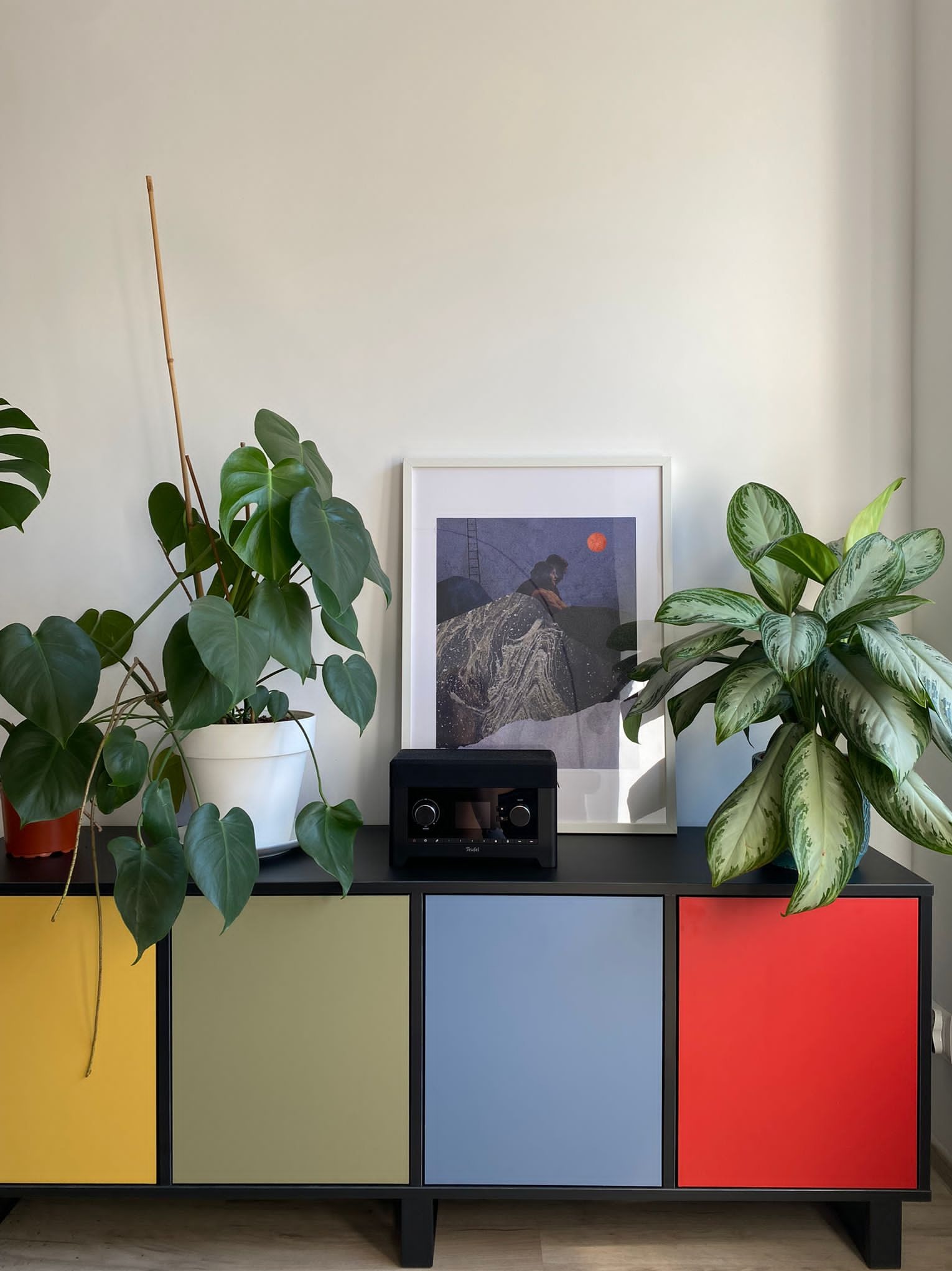 Niski regał z kolorowymi frontami (żółty, khaki, niebieski, czerwony) udekorowany roślinami doniczkowymi i czarnym radiem, na ścianie grafika w białej ramce.