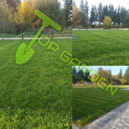 Top Garden Kacper Konopski - Zakładanie trawnik&oacute;w Zgorzelec