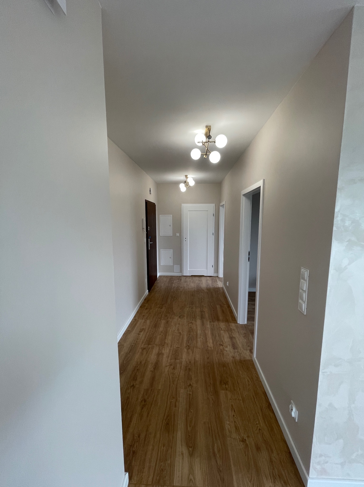 Wykończony korytarz w mieszkaniu z drewnopodobną podłogą, jasnymi ścianami i nowoczesnym oświetleniem sufitowym. Widoczne drzwi wejściowe i wewnętrzne.