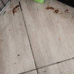 Sprzątanie mieszkań Imielin 4