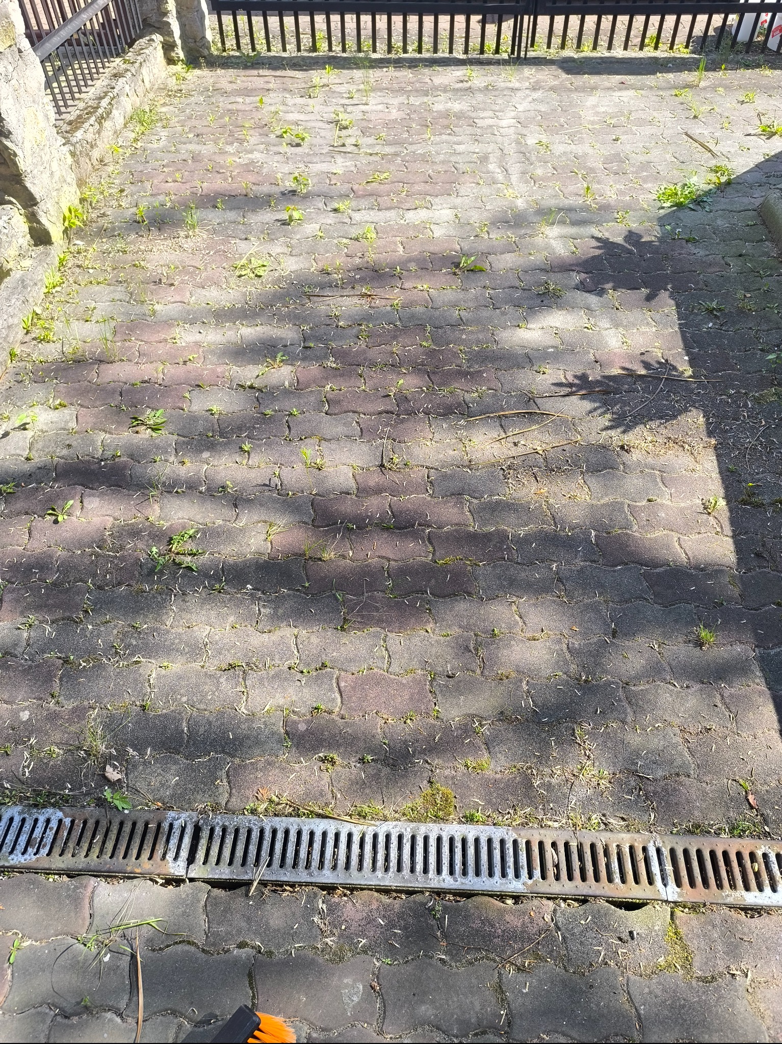 Kostka brukowa z chwastami i resztkami po koszeniu, widoczny odpływ liniowy. Cień drzewa. Perspektywa z góry.