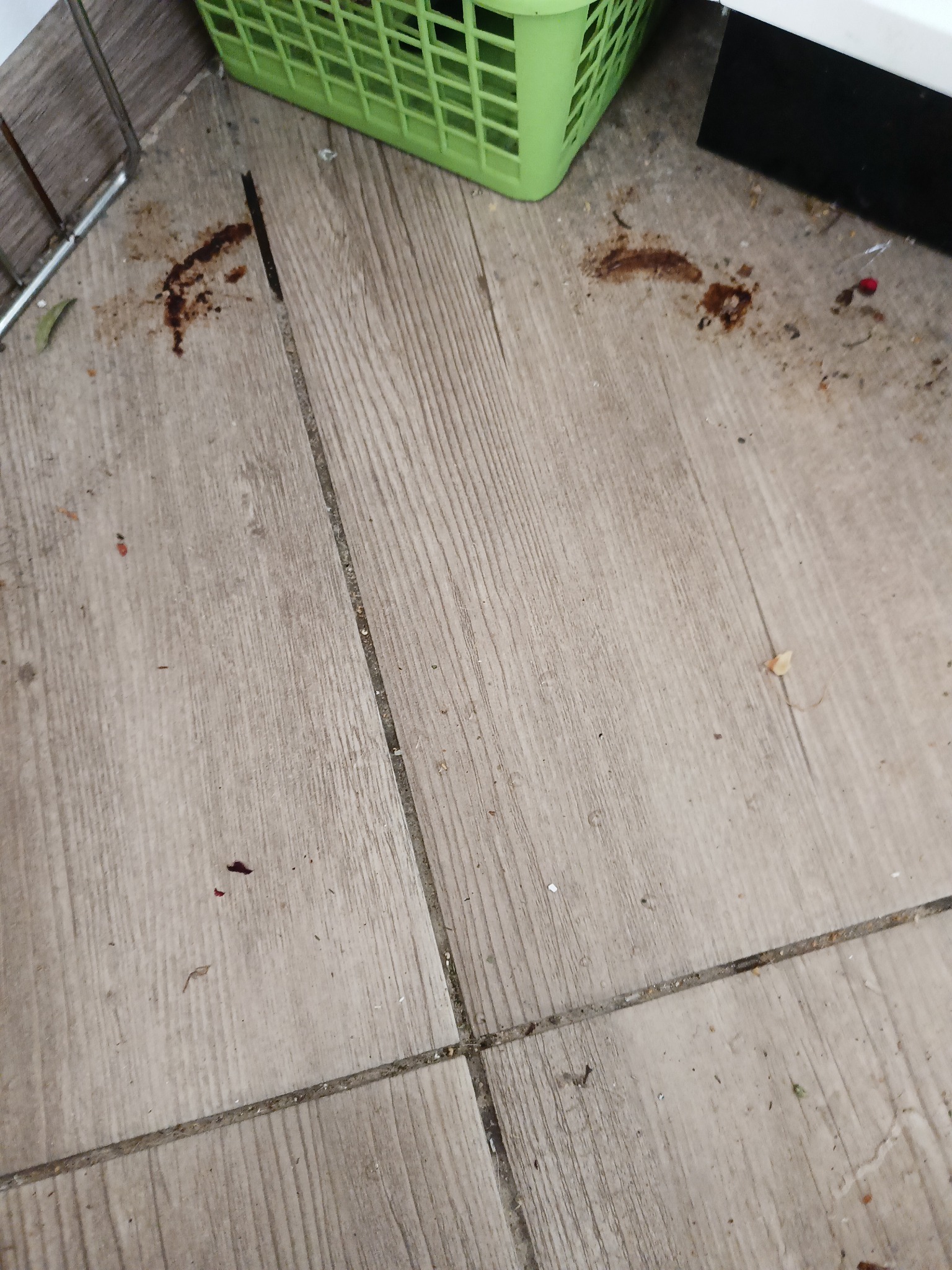 Brudna podłoga z brązowymi plamami i drobnymi śmieciami, widoczny fragment zielonego koszyka i czarnego przedmiotu. Podłoga wyłożona płytkami imitującymi drewno.