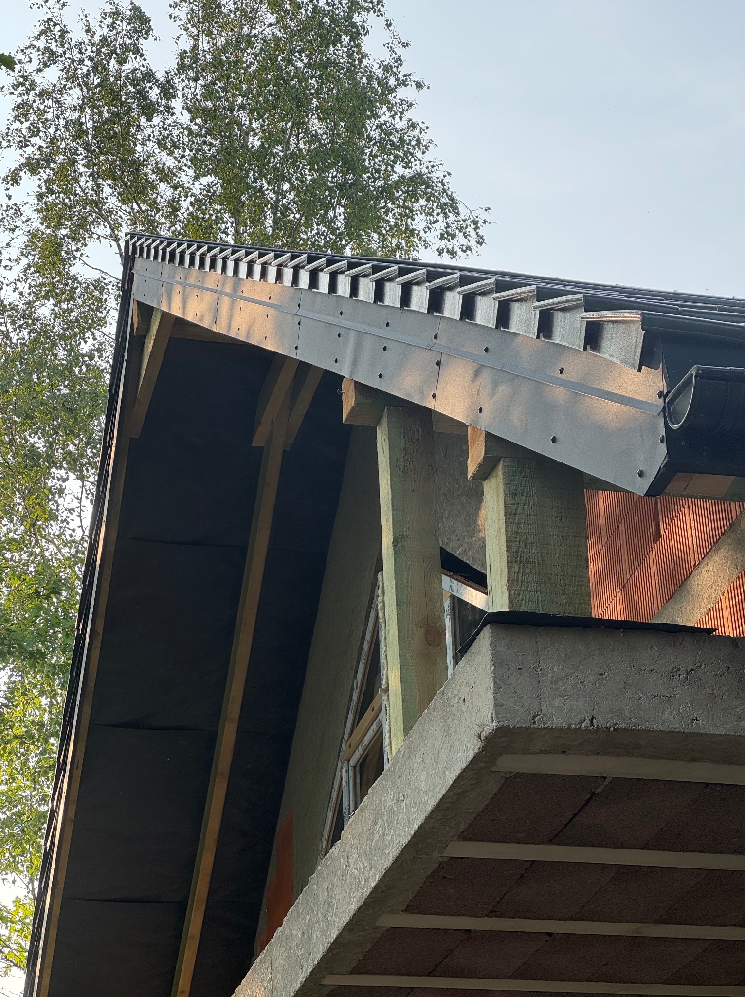 Wznoszenie dachu: widok na konstrukcję więźby z deskowaniem, membraną i elementami orynnowania w świetle słonecznym, z fragmentem drzewa w tle.