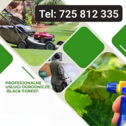 BlackForest - Urządzanie Ogrodów Żelazna