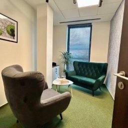 Dobry Psycholog - Gabinet z szarym fotelem uszakiem, zieloną sofą, stolikiem kawowym, obrazem na ścianie i żaluzjami w oknie.