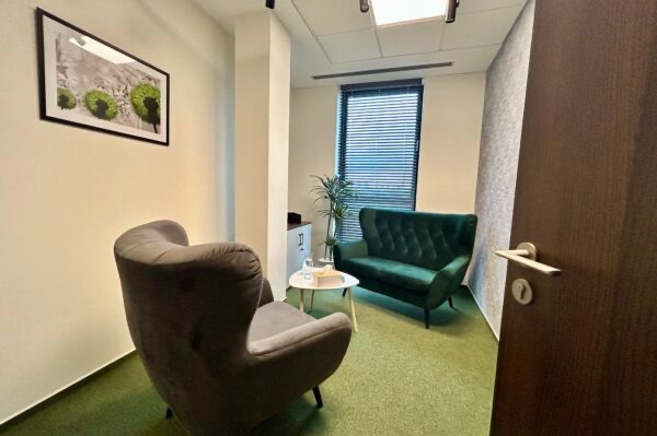 Gabinet z szarym fotelem uszakiem, zieloną sofą, stolikiem kawowym, obrazem na ścianie i żaluzjami w oknie.