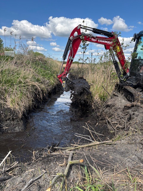 Czerwony minikoparka Yanmar pogłębia mulisty rów z wodą na zarośniętym terenie. Błękitne niebo z chmurami w tle.