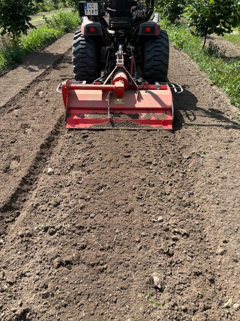 Czerwony traktor z glebogryzarką spulchnia ziemię na polu, przygotowując ją pod uprawę. Widok z tyłu na maszynę w trakcie pracy, świeżo obrobiona ziemia.