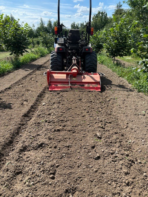 Traktor z glebogryzarką spulchnia ziemię na polu, przygotowując ją do siewu. Widok z tyłu, w tle drzewa i niebo. Praca w toku, świeżo obrobiona gleba.
