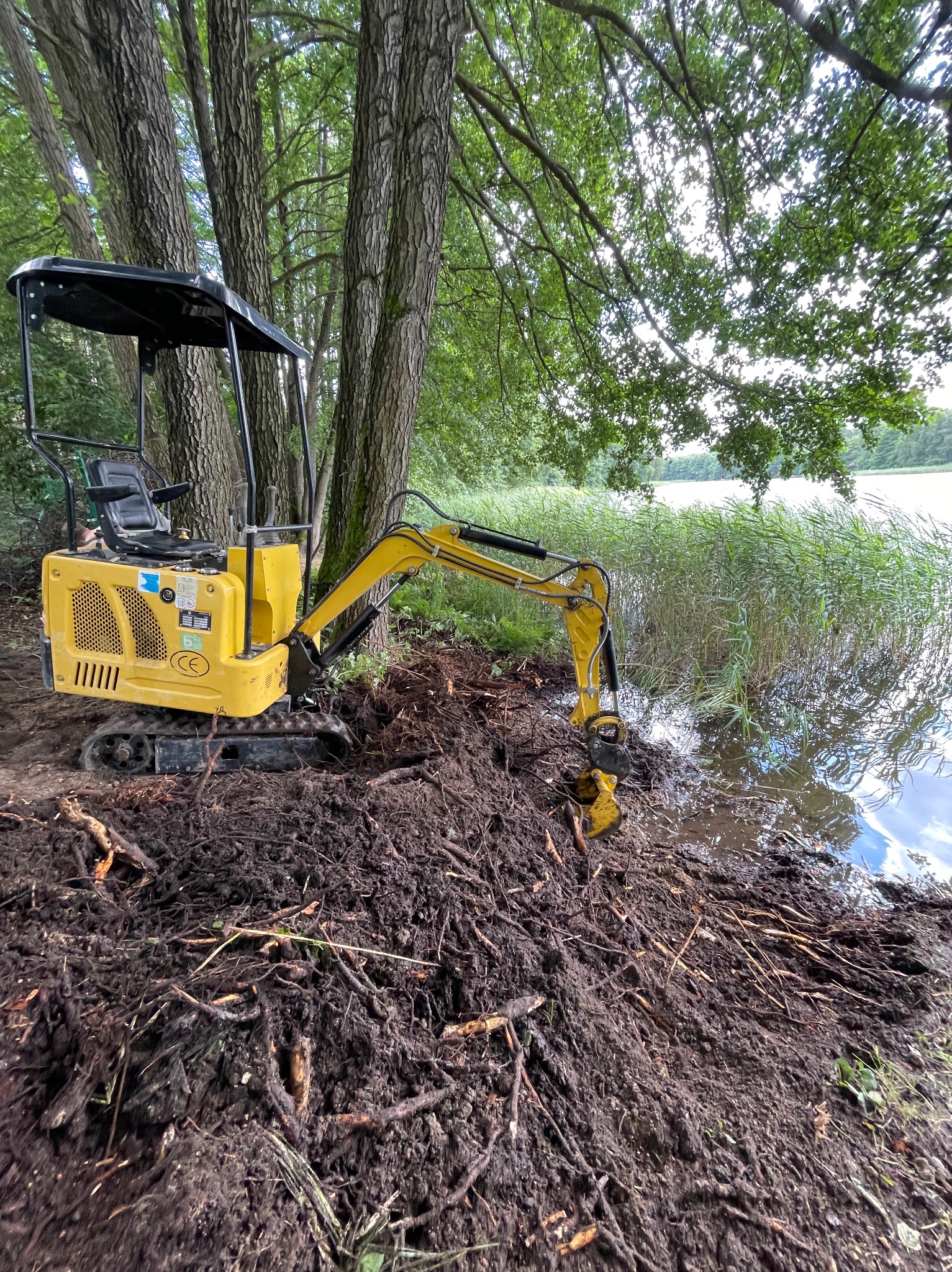 Żółta mini koparka na brzegu jeziora, wykonująca prace ziemne w pobliżu trzcin i drzew.
