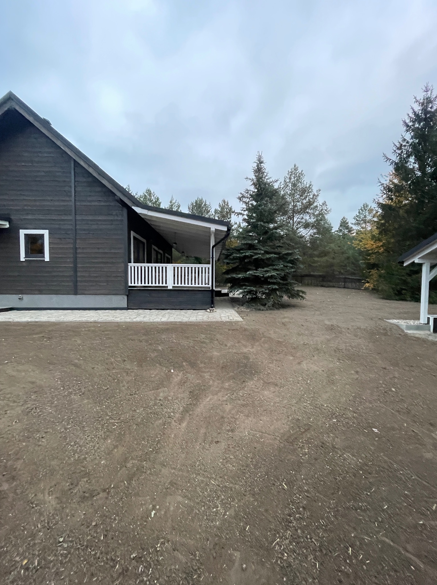 Przygotowany teren pod trawnik z rolki, widoczny dom z ciemnego drewna i posadzona choinka.