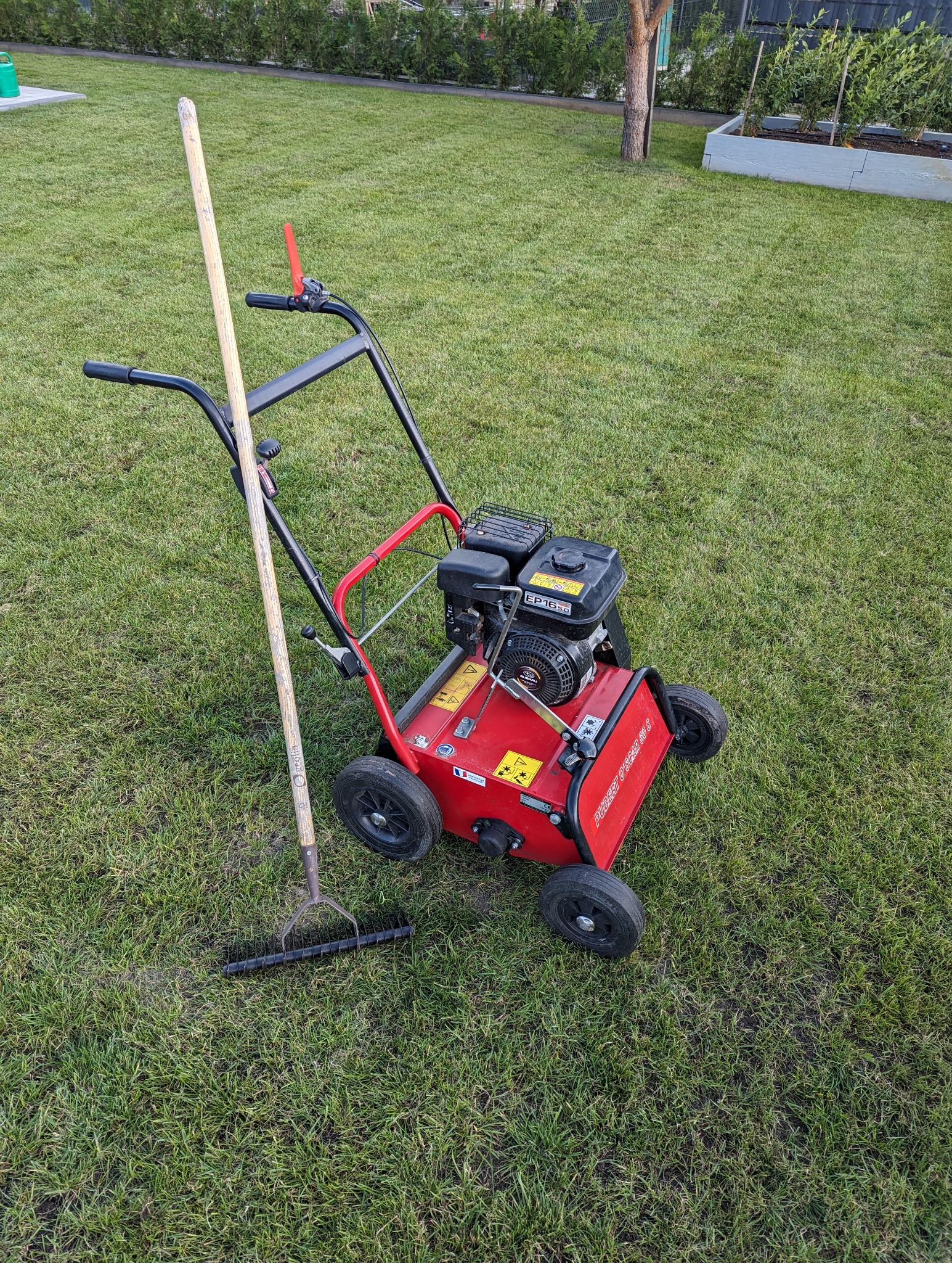 Wertykulator spalinowy marki Pubert O'Scar Sigma 60 S oraz grabie na trawniku z widoczną ziemią pomiędzy źdźbłami.