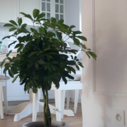 Układanie paneli Zabierzów 3