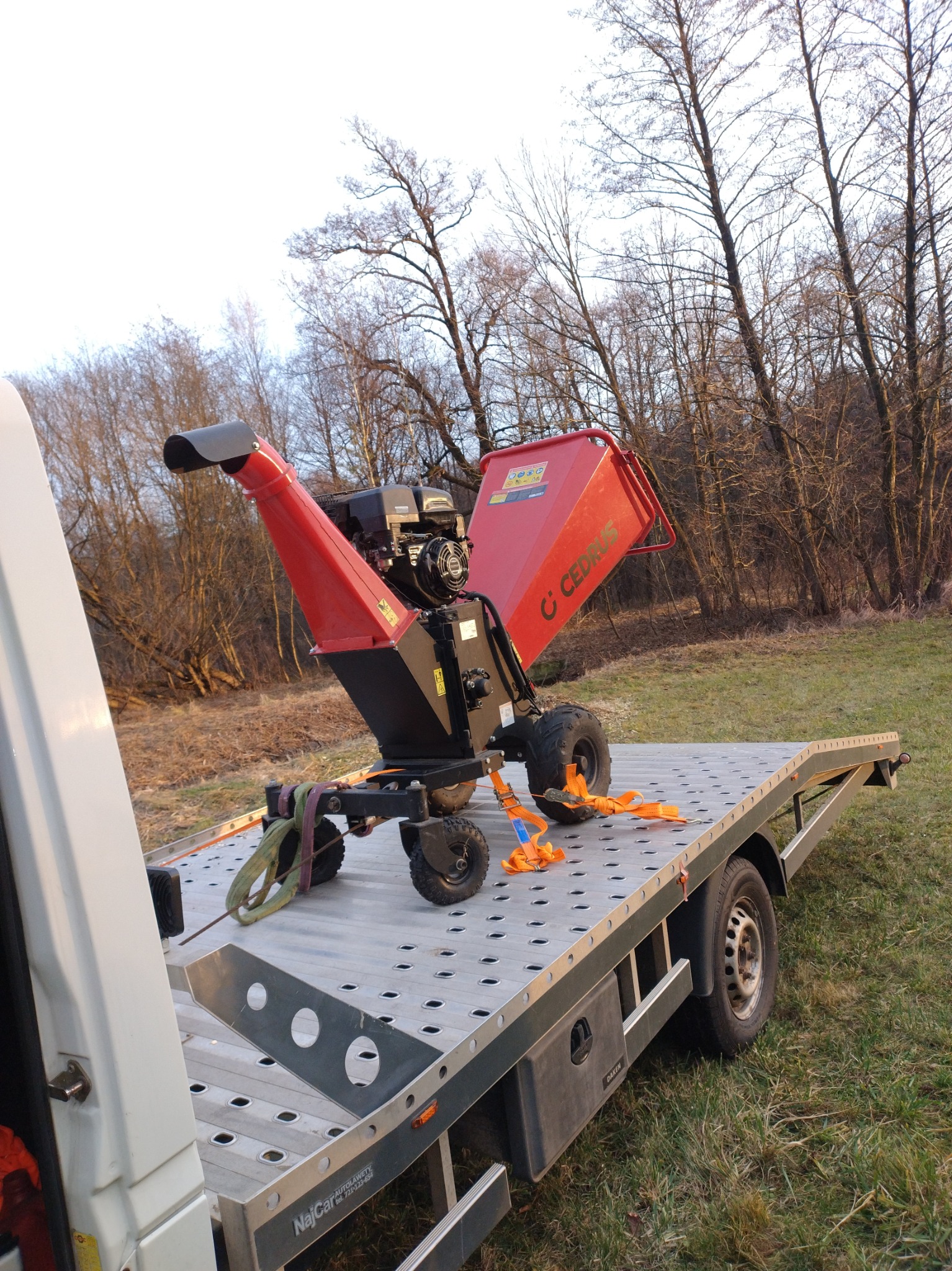 Czerwona rębarka CEDRUS zabezpieczona pasami na platformie lawety NajCar Auto-Lawety, na tle drzew bez liści i trawy. Widok z boku lawety.