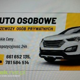 Przewóz osób po Polsce i Europie