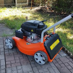 CleanViolFresh - Pomarańczowa kosiarka spalinowa, częściowo widoczna na kostce brukowej, trawa i budynek w tle.