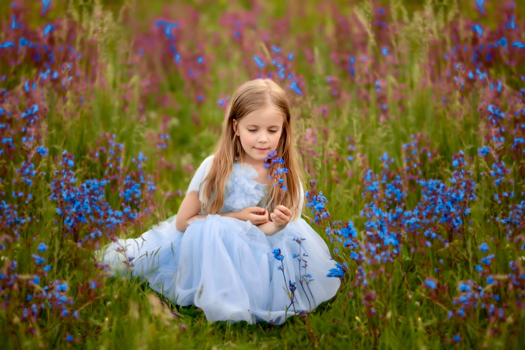 Dziewczynka w błękitnej sukience siedzi na łące wśród niebieskich i fioletowych kwiatów, trzymając w dłoni jeden z niebieskich kwiatów i delikatnie się mu przyglądając.