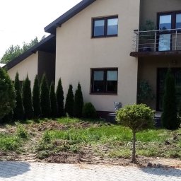 Wycinka drzew Łódź 2