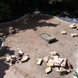 Wycinka drzew Łódź 3