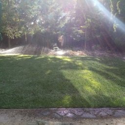 1000 i jeden ogrodów - Automatyczny system nawadniania trawnika w ogrodzie, z widocznymi zraszaczami rozpylającymi wodę w promieniach słońca.