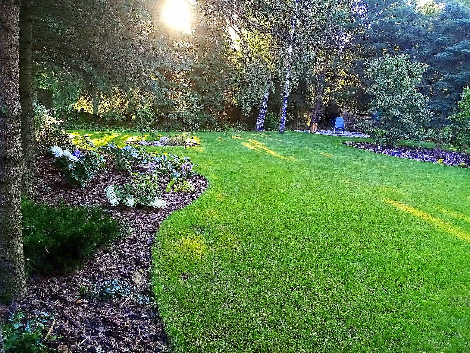 Pełen blasku ogród z idealnie przystrzyżonym trawnikiem, rabatami kwiatowymi wyściółkowanymi korą i drzewami w tle, oświetlony promieniami słońca.