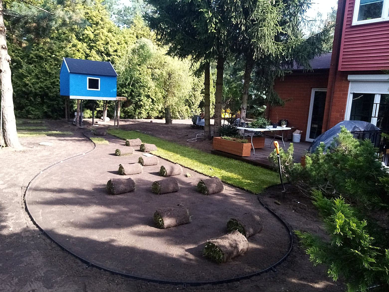 Rozwinięte i zwinięte rolki trawy na przygotowanym podłożu, widok na domek na drzewie i dom z czerwonej cegły w tle.