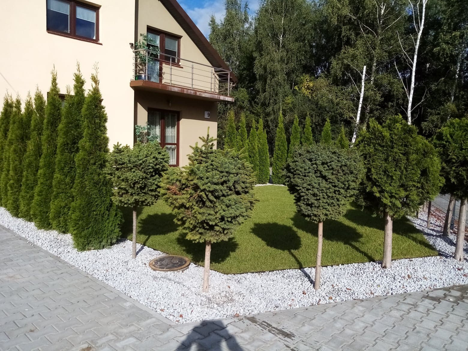 Uformowane drzewka na pniu i rząd wysokich tuj ozdobione białym grysem na tle domu z balkonem i zielonego trawnika.