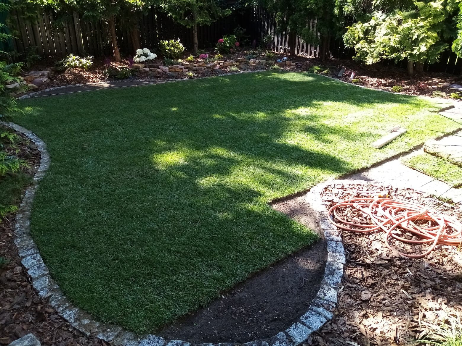 Świeżo ułożona trawa z rolki w ogrodzie, obrzeża z kamienia, widoczny zwój węża ogrodowego, częściowo zacieniony trawnik.