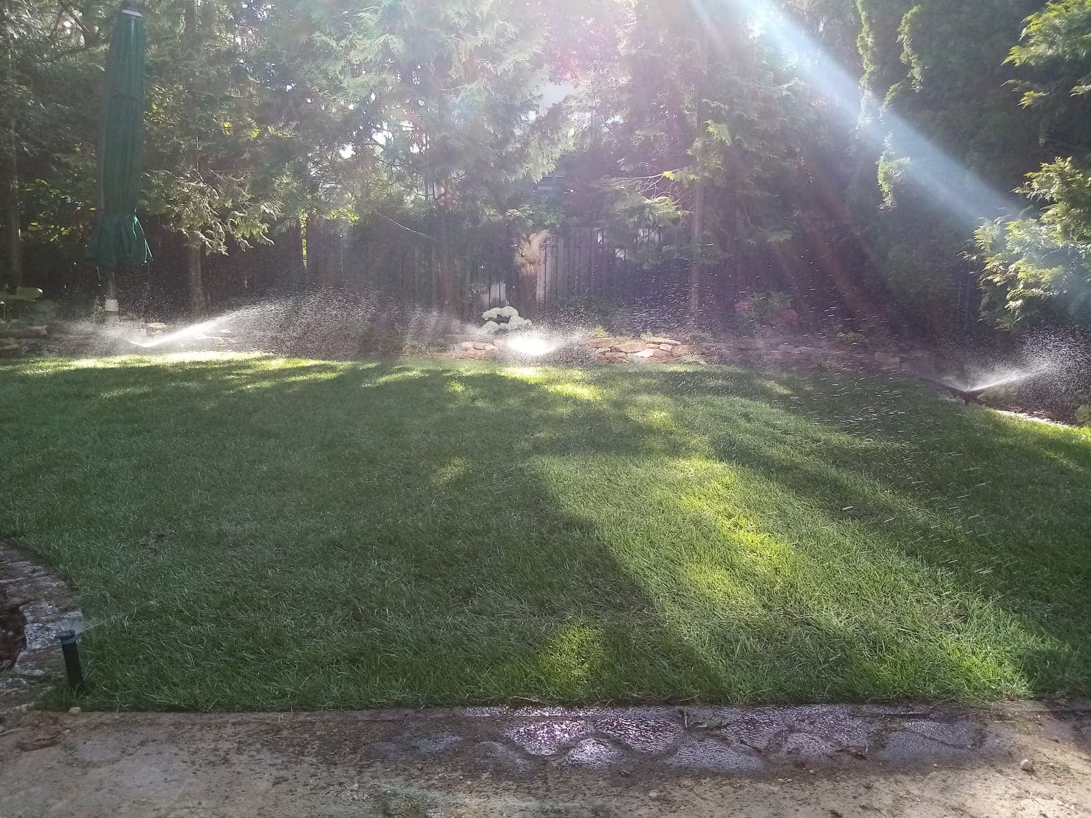 Automatyczny system nawadniania trawnika w ogrodzie, z widocznymi zraszaczami rozpylającymi wodę w promieniach słońca.