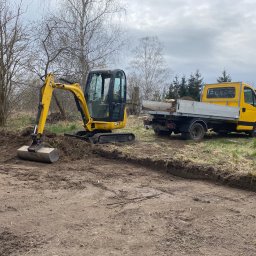 Wycinka drzew Łódź 4