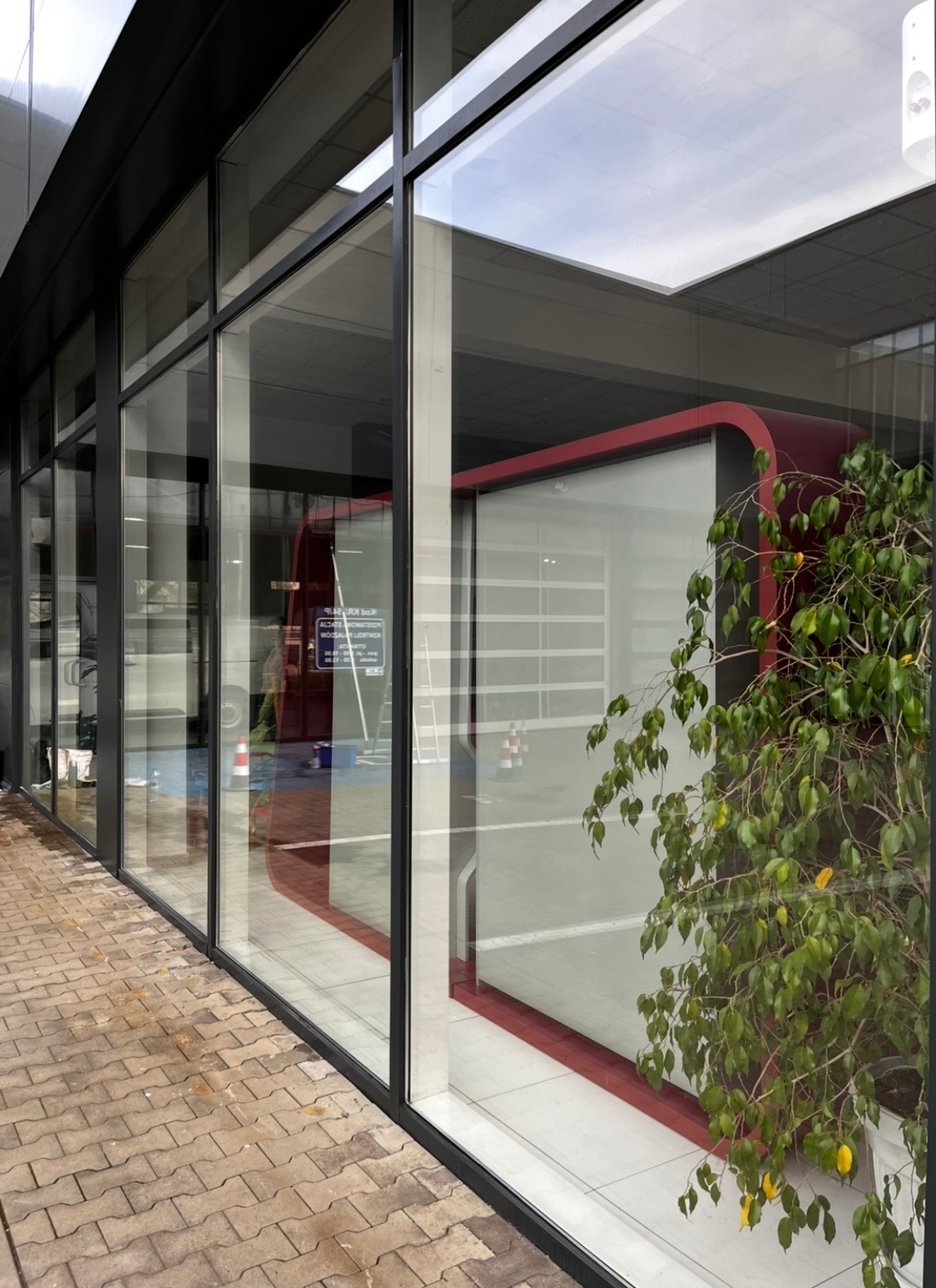 Szklana fasada budynku z widocznymi śladami czyszczenia, drabina oparta o szybę, wiadro i stożek ostrzegawczy wewnątrz, roślina doniczkowa przy oknie.