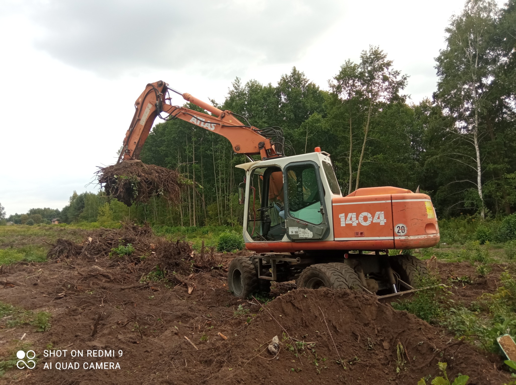 Pomarańczowa koparka Atlas 1404 z otwartą kabiną podnosi korzenie drzew na wykarczowanym terenie, z zielonym lasem w tle pod pochmurnym niebem.