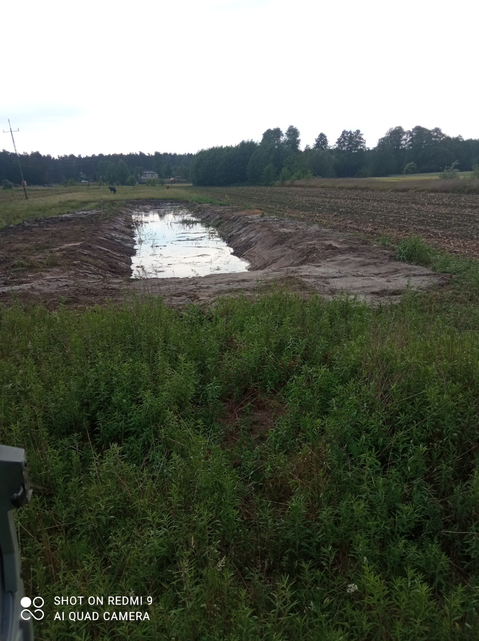 Nowo wykopany, prostokątny zbiornik wodny wypełniony wodą, otoczony ziemią i bujną roślinnością, w tle widoczny las i zabudowania.