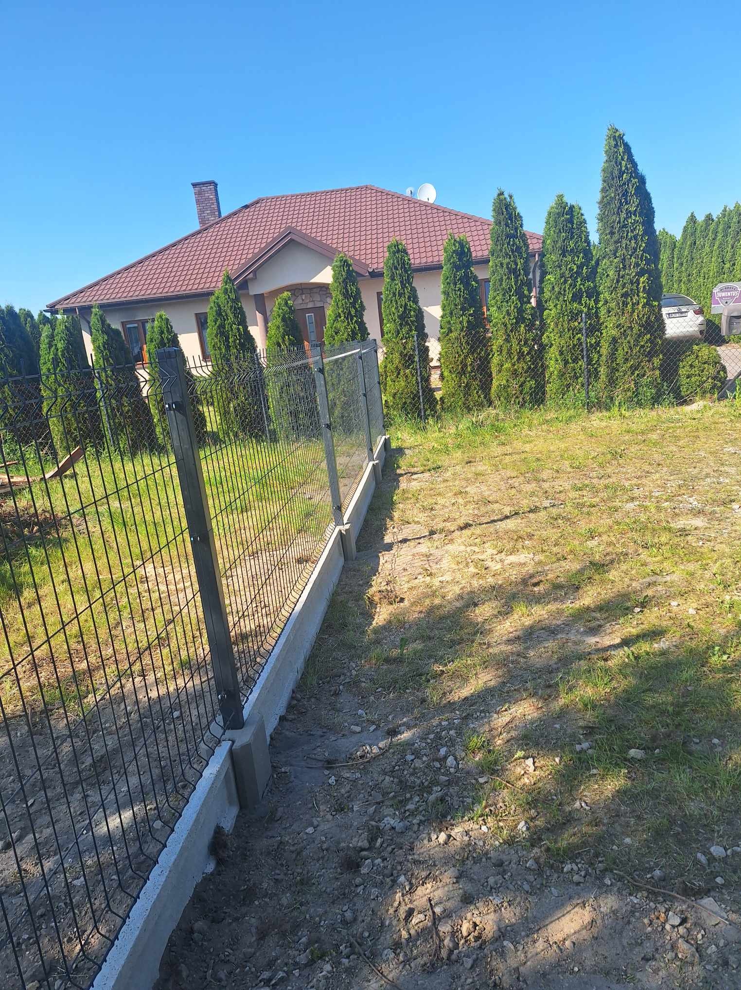 Nowo postawione czarne ogrodzenie panelowe na betonowej podmurówce, z widokiem na dom z czerwonym dachem i rząd tuj. Na posesji zaparkowany samochód.