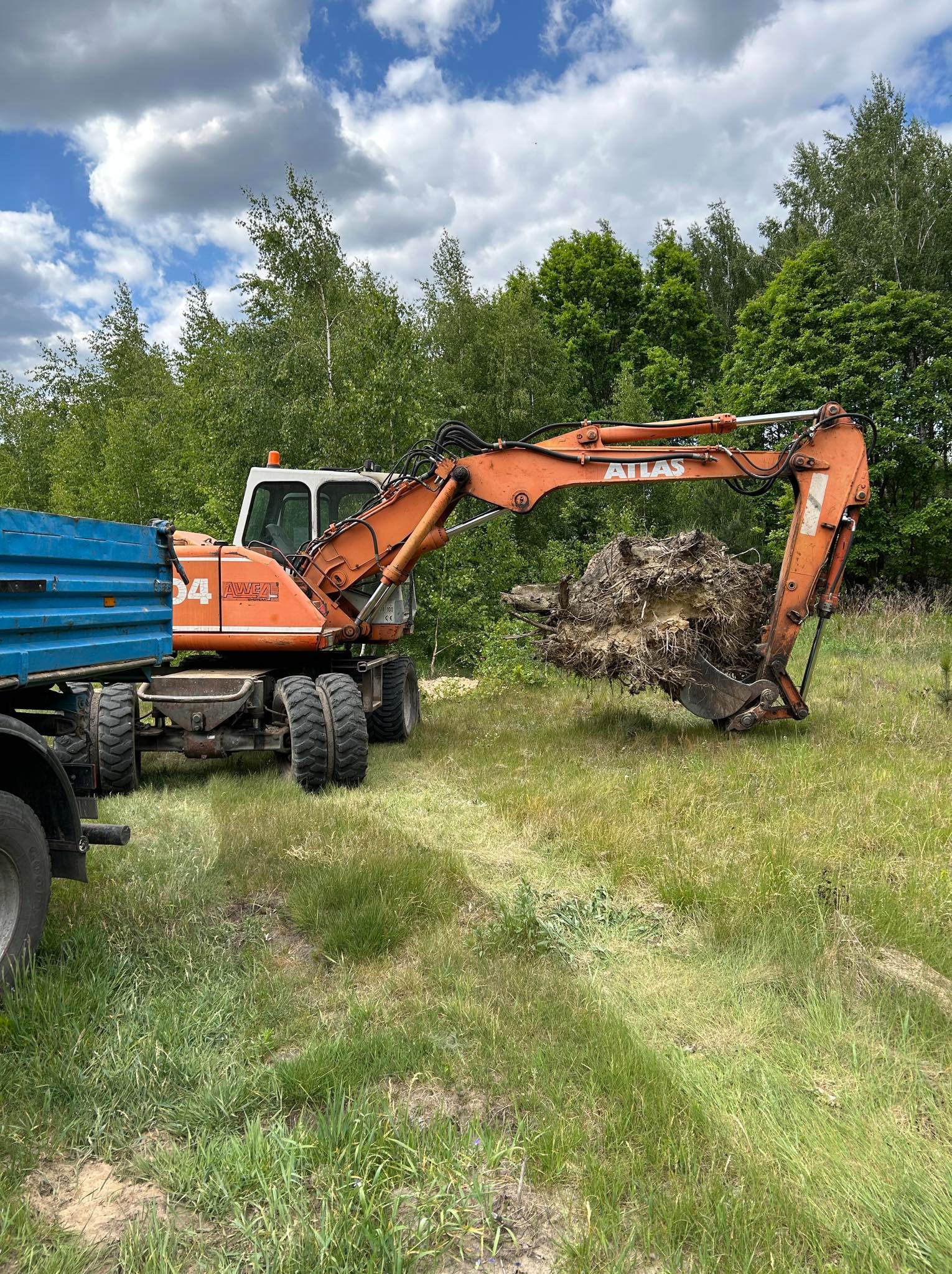 Pomarańczowa koparka Atlas podnosi wykopany korzeń drzewa nad przyczepą ciężarówki na zarośniętym terenie, widoczne drzewa i pochmurne niebo w tle.