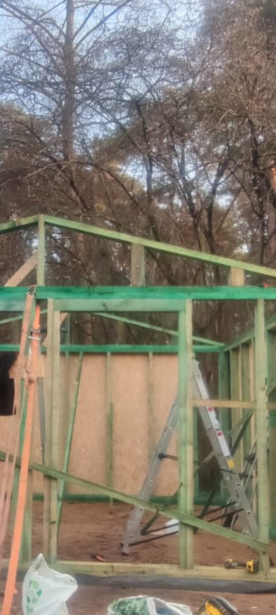 Wznoszenie konstrukcji szkieletowej z zielonych belek na tle drzew. Widoczna drabina i narzędzia. Etap budowy domu szkieletowego w surowym stanie.