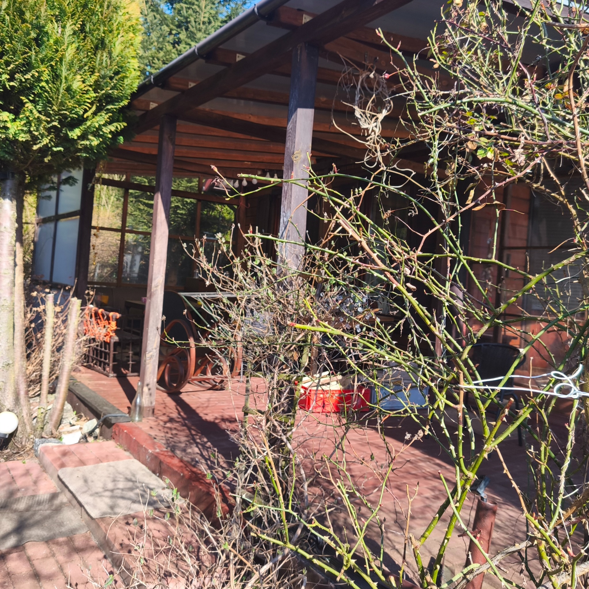 Drewniana altana z zadaszeniem, widoczna zza krzewu. Na tarasie meble ogrodowe i dekoracje. Czerwona ceglana podłoga. Elementy drewniane w ciepłym odcieniu brązu.