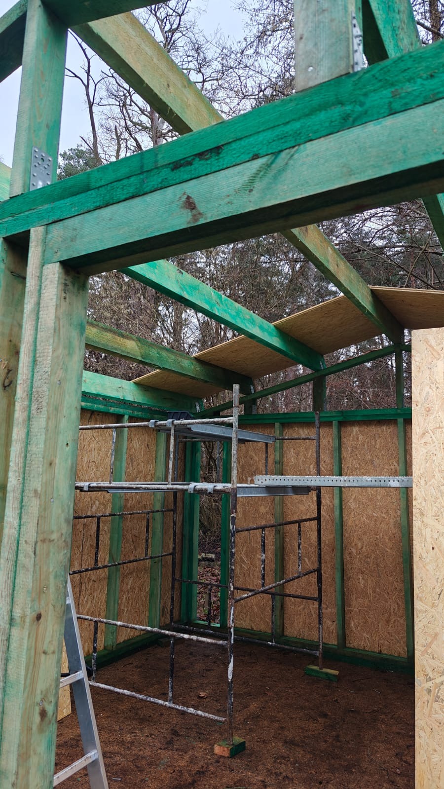 Wnętrze konstrukcji szkieletowej z zielonymi belkami, widoczne rusztowanie i płyty OSB. Surowy stan budowy, z zewnątrz widoczne drzewa.