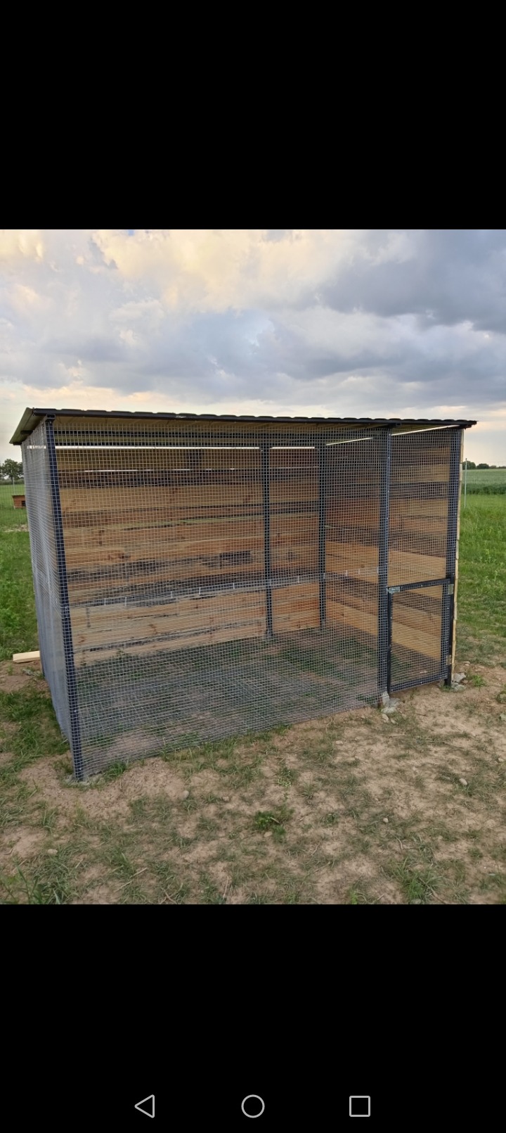 Klatka z metalowej siatki i drewnianych paneli, z zadaszeniem, stojąca na trawiastym terenie pod pochmurnym niebem.