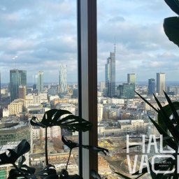 Centrumbud Sp z oo - Widok na panoramę miasta z okna biura nieruchomości, z roślinami w kadrze i logo agencji. Warszawa w tle, częściowo pochmurne niebo.